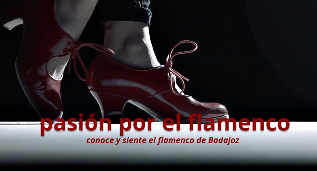 La Diputación de Badajoz lanza una web para aunar a sectores del flamenco