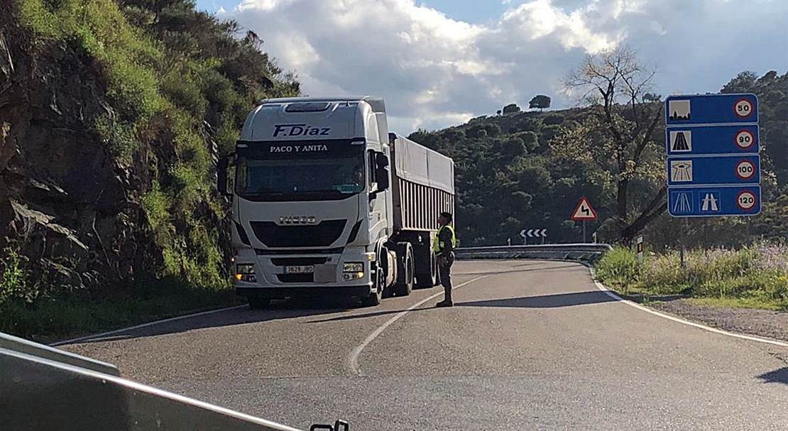 COVID-19 -  La labor del ejército durante el estado de alarma en imágenes