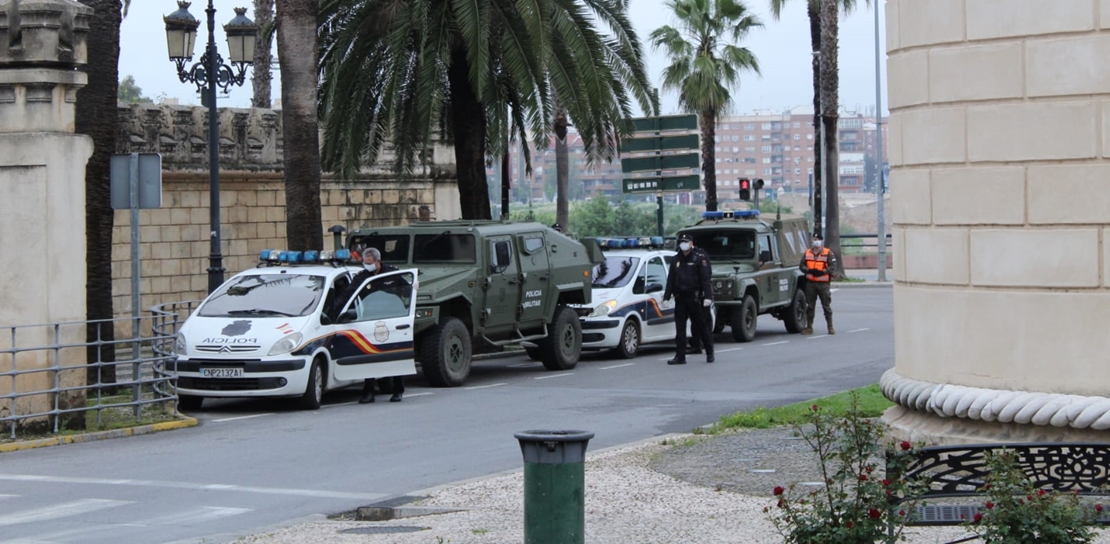 COVID-19 -  La labor del ejército durante el estado de alarma en imágenes