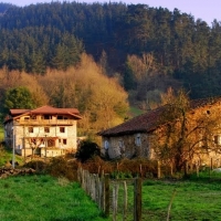 Piden desconfinar las zonas rurales sin casos de contagios por COVID-19