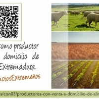 Proyecto para vender a domicilio productos extremeños