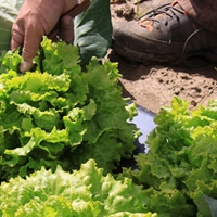 Agricultura y ganadería familiar para preservar la salud