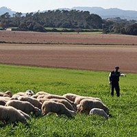 UPA reclama no dejar fuera de las ayudas a ninguno de los afectados por la pandemia