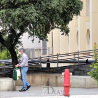 Siguen aumentando los contagios diarios en Extremadura