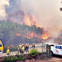 SGTEX traslada a Agricultura su preocupación por los bomberos forestales