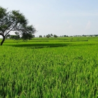 Un proyecto extremeño logra financiación del Ministerio de Ciencia e Innovación