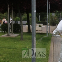 ANECPLA: "Solo desinfecciones efectivas para evitar consecuencias devastadoras"