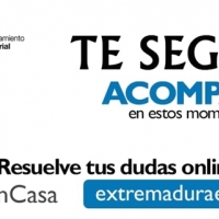 PAE atiende más de 1.100 consultas telemáticas durante el estado de alarma