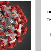 Guía de recomendaciones para centrales hortofrutícolas frente al Covid-19
