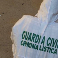 Detenido el presunto autor del robo de material informático en un colegio extremeño