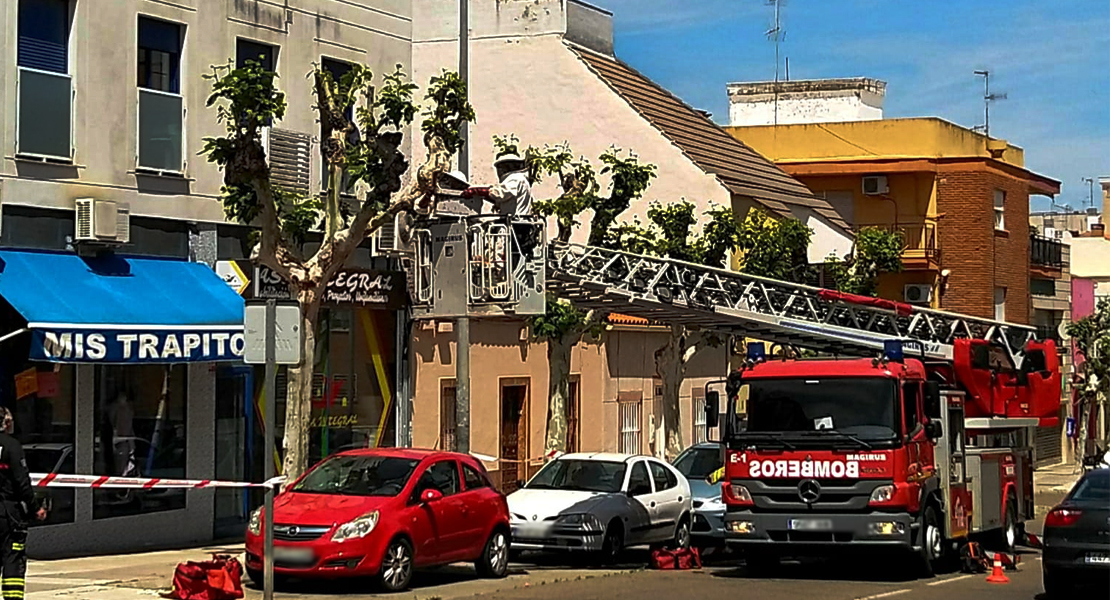 Un enjambre de abejas preocupa a unos vecinos y alertan a los Bomberos en Badajoz