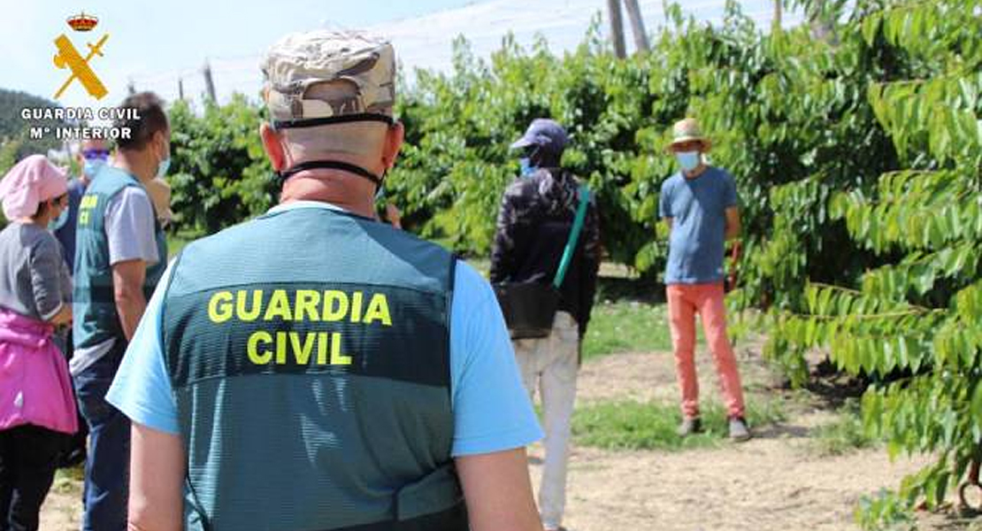 Inspección de Trabajo y Guardia Civil comprueban el cumplimiento de los ERTE en el campo