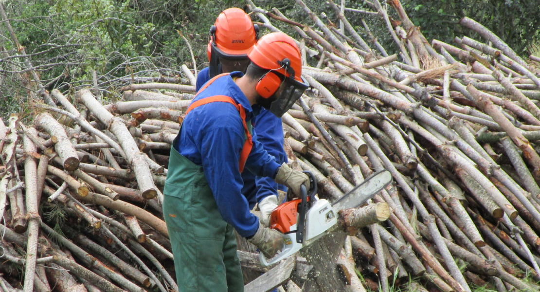 Agricultura resuelve las convocatorias de proyectos forestales de los Grupos Operativos