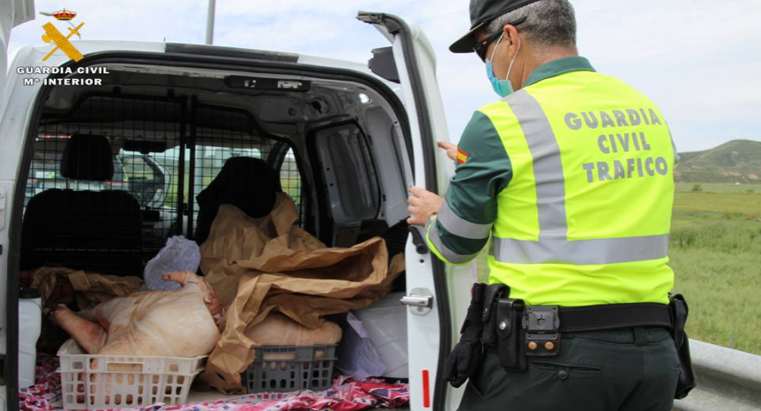 Transporta carne porcina sin cumplir las condiciones sanitarias