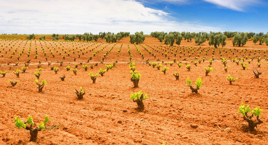 El Gobierno amplía la reducción de módulos del IRPF para sectores del campo extremeño