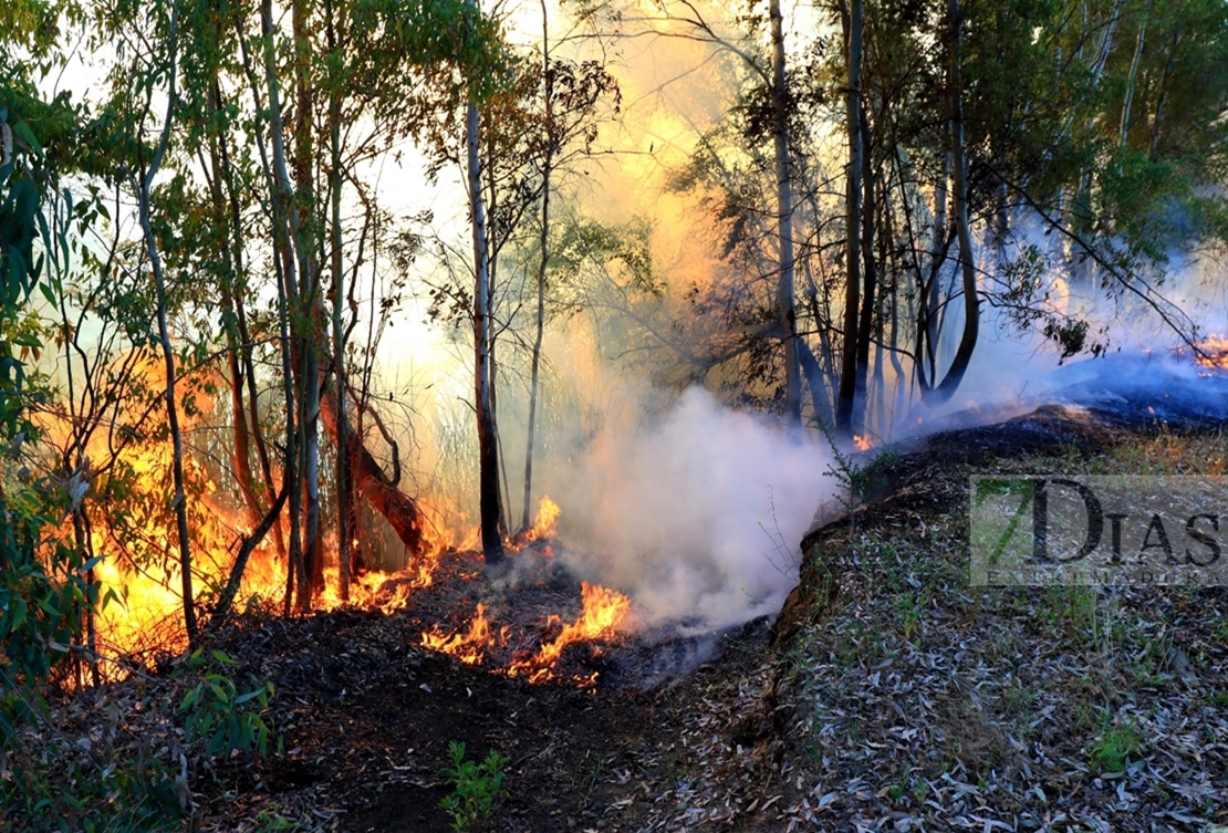 Incendio forestal entre Arroyo de San Serván y Lóbon (BA)