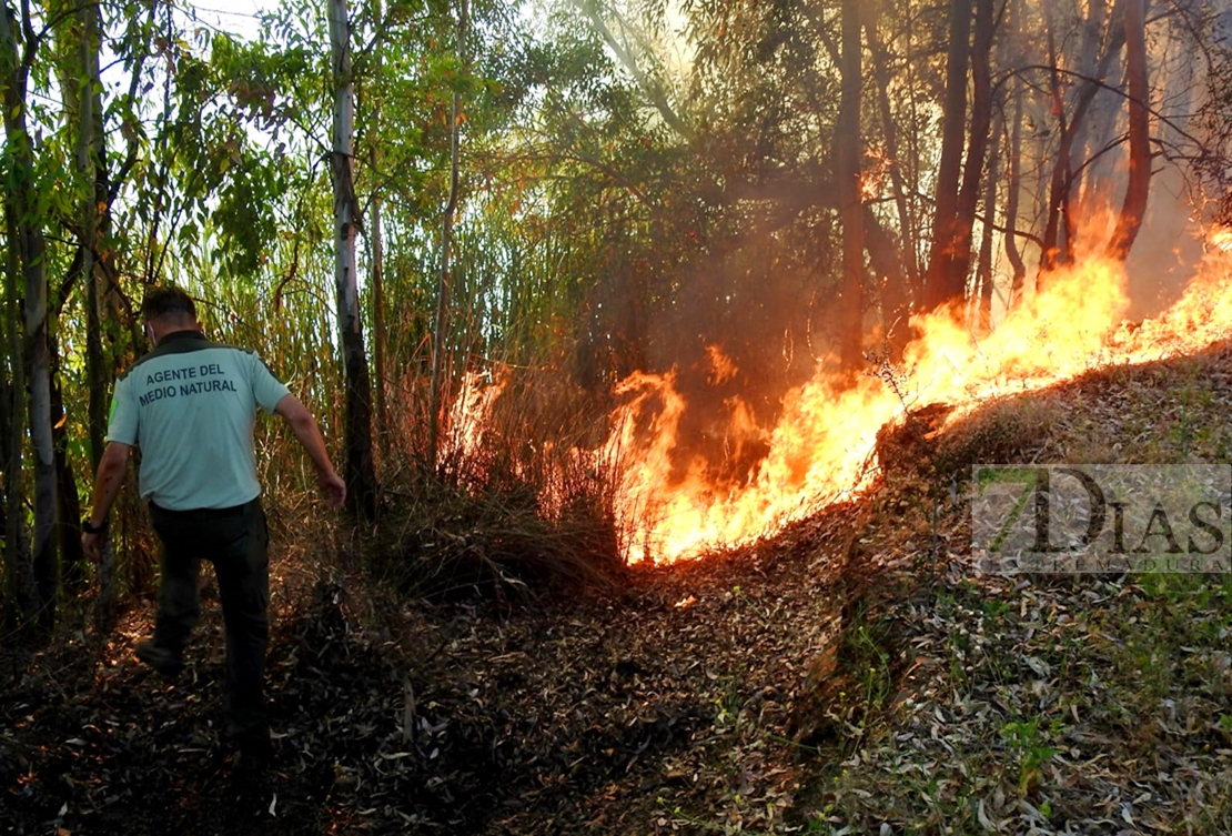 Incendio forestal entre Arroyo de San Serván y Lóbon (BA)