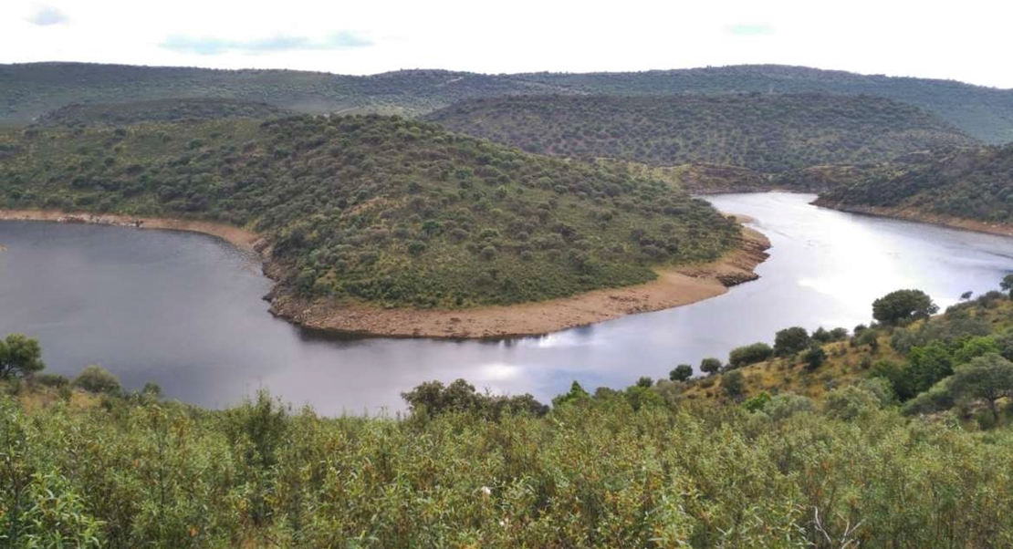 La azolla desaparece de Monfragüe y de los tramos del río Tajo