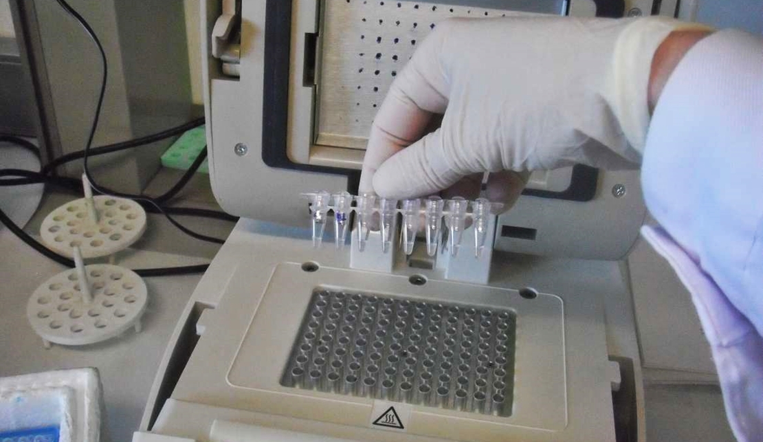 Extremadura a la cabeza en participación del estudio de seroprevalencia