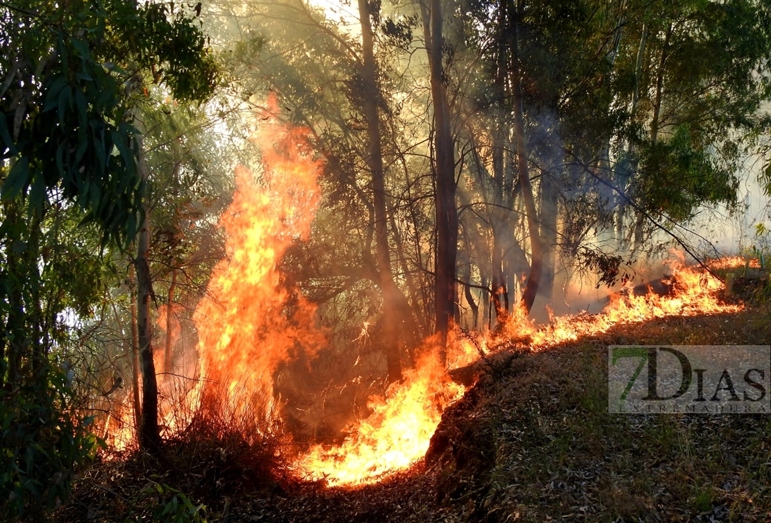 Incendio forestal entre Arroyo de San Serván y Lóbon (BA)