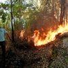 Incendio forestal entre Arroyo de San Serván y Lóbon (BA)