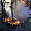 Incendio forestal entre Arroyo de San Serván y Lóbon (BA)