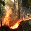 Incendio forestal entre Arroyo de San Serván y Lóbon (BA)