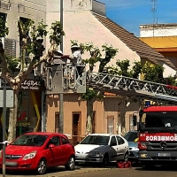 Un enjambre de abejas preocupa a unos vecinos y alertan a los Bomberos en Badajoz