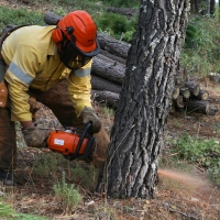 Época de riesgo: prohibido el uso del fuego en Extremadura