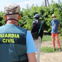 Inspección de Trabajo y Guardia Civil comprueban el cumplimiento de los ERTE en el campo