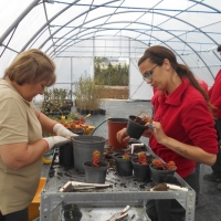 Empleo adopta medidas para reanudar la actividad presencial de las Escuelas Profesionales