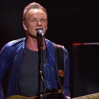 Sting suspende su concierto en el Stone &amp; Music Festival de Mérida
