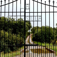 El crimen de Feria y la pista andaluza