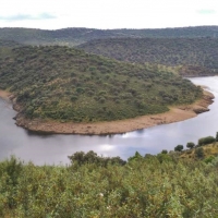 La azolla desaparece de Monfragüe y de los tramos del río Tajo