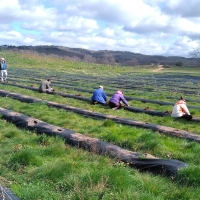 Extremadura desarrolla una medida innovadora para luchar contra los incendios