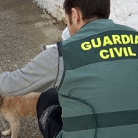Investigado por maltrato animal en una localidad extremeña