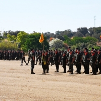 Defensa moderniza la organización de las Fuerzas Armadas