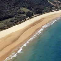 Los campeonatos de Salvamento y Socorrismo serán sin público y en una única sede