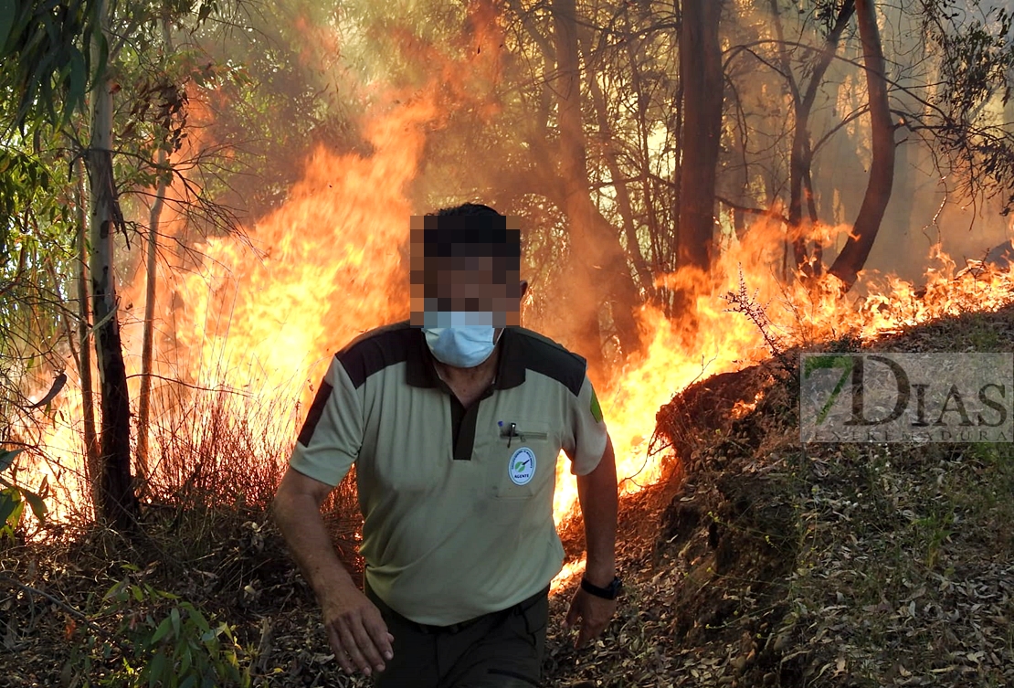 Incendio forestal entre Arroyo de San Serván y Lóbon (BA)