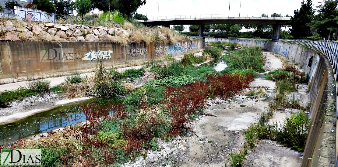 Inician las actividades para el mantenimiento del parque del Río, Rivillas y Calamón