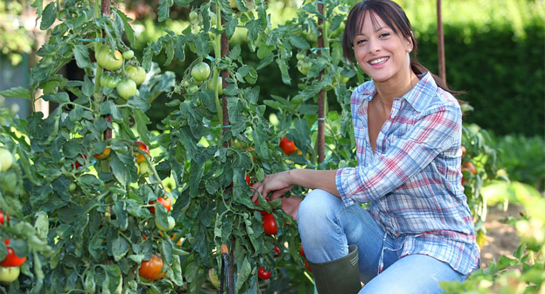 Convocan los Premios de Excelencia a la Innovación para Mujeres Rurales