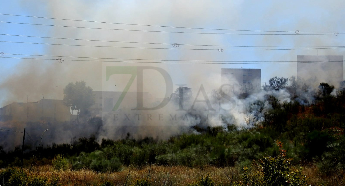 GALERÍA - Los Bomberos intervienen en un incendio que se propagaba en El Cerro Gordo (Badajoz)