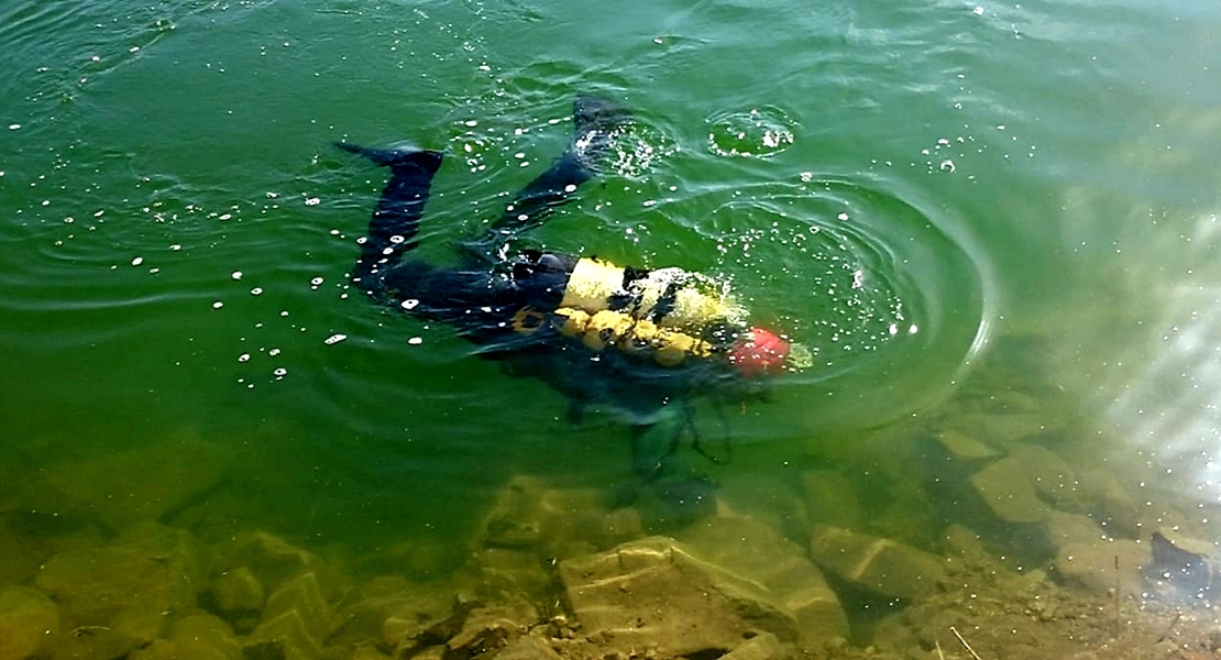 REPOR: Se busca a Rosalía por tierra, agua y aire