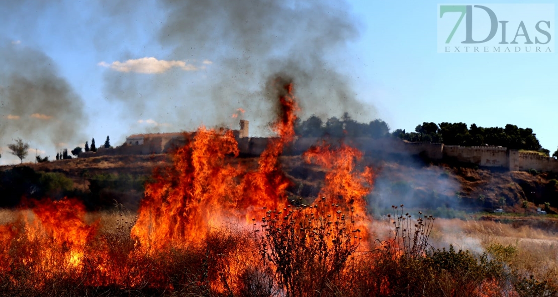 Los Bomberos sofocan un incendio en Las Crispitas (Badajoz)