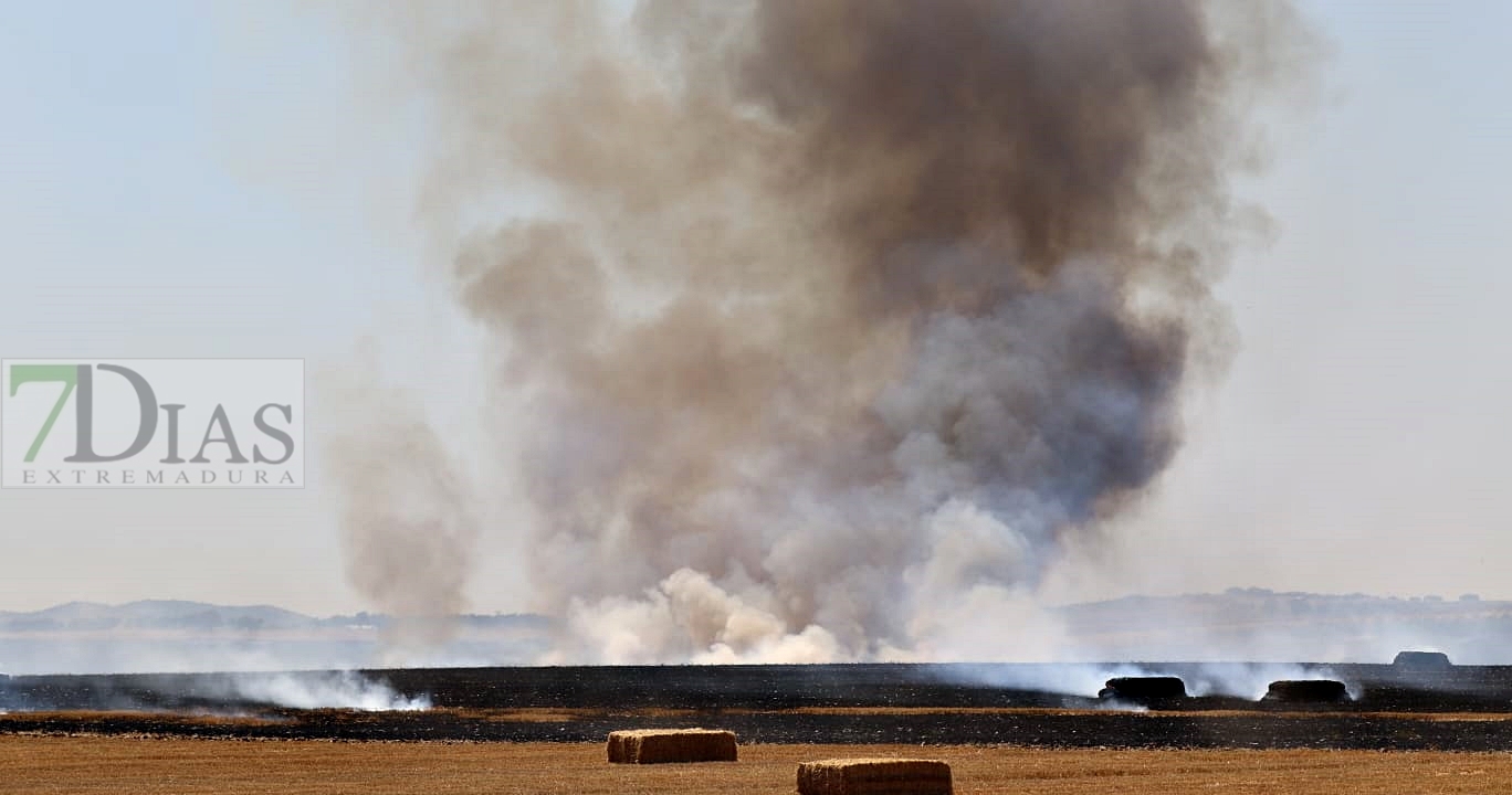 Incendio forestal entre Almendral y La Albuera