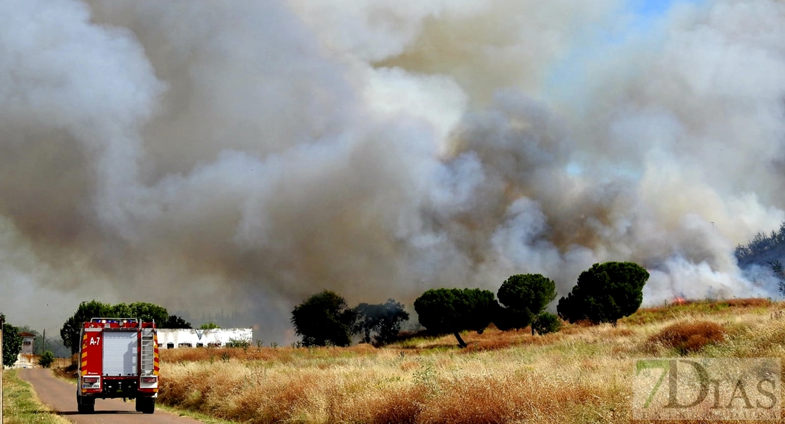 Los Bomberos se emplean a fondo en un incendio en la Margen Derecha (Badajoz)