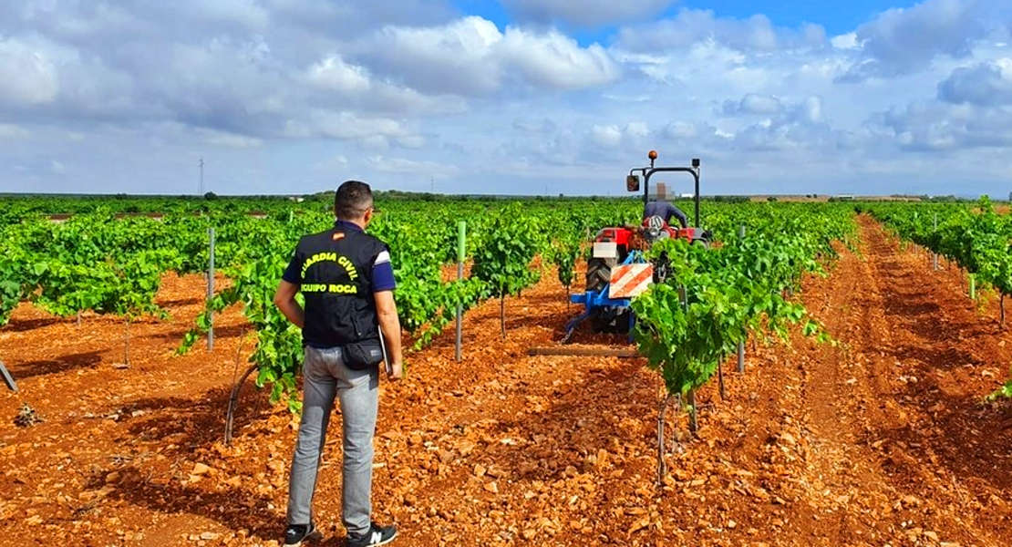 Identificados ocho trabajadores en una finca extremeña por contratación ilegal