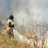 GALERÍA - Los Bomberos intervienen en un incendio que se propagaba en El Cerro Gordo (Badajoz)