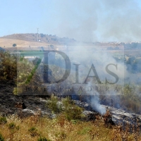 Rápida intervención de los Bomberos en un incendio que se propagaba en El Cerro Gordo (Badajoz)