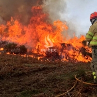 El Infoex actúa en 30 incendios durante la segunda semana de Alto Riesgo